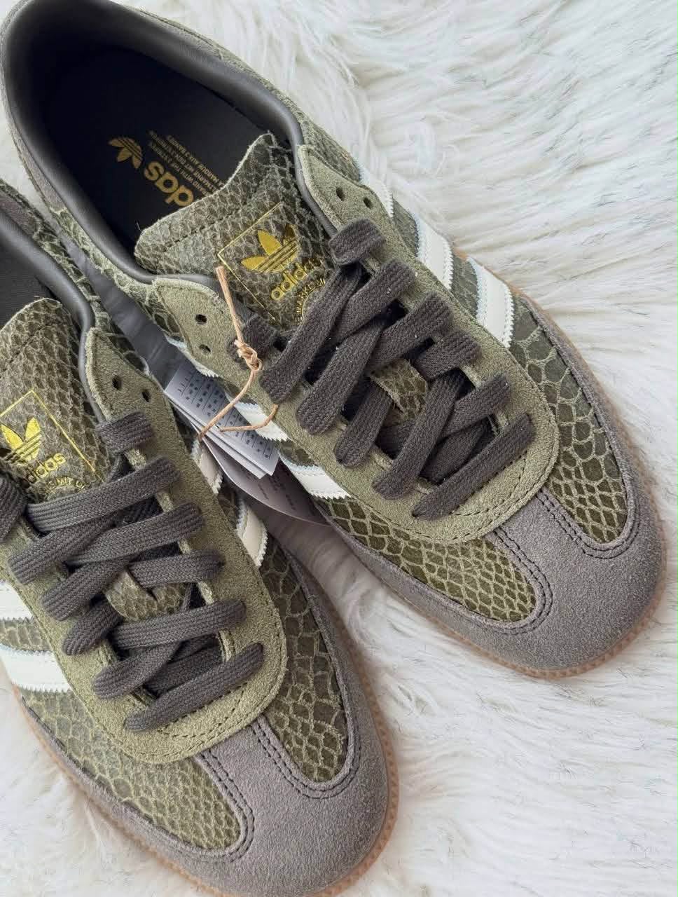 Green Snake Trainers